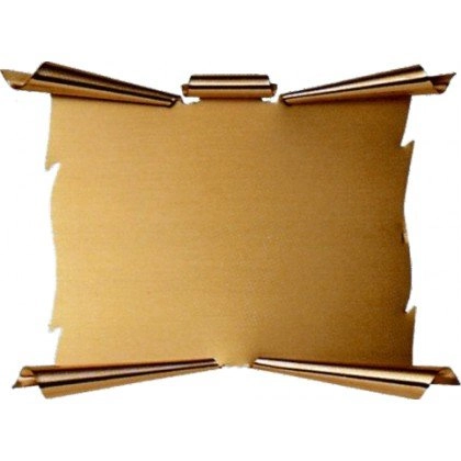 Immagine Targa Vector