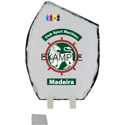 Immagine Targa Logic