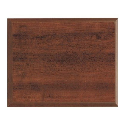 Immagine Targa Orion