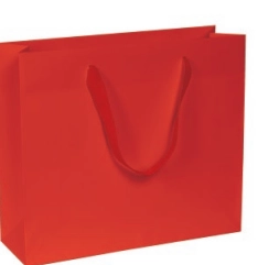 Immagine Chic bag 14x7x14+4
