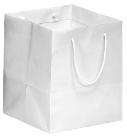 Immagine Gourmet bag kraft 32x23x31+5