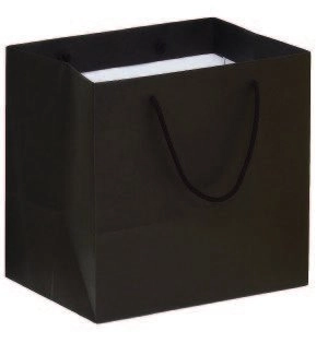 Immagine Gourmet bag kraft 32x23x31+5