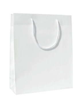 Immagine Lux bags gloss 30x12x26+5