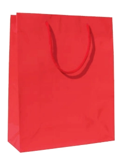Immagine Lux bags gloss 30x12x26+5