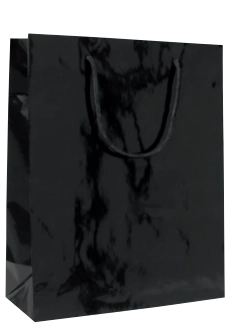 Immagine Lux bags gloss 30x12x26+5