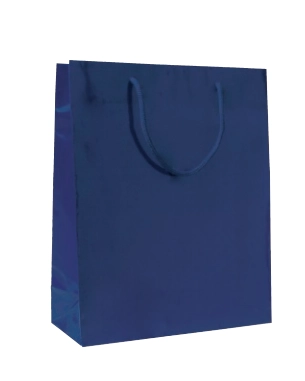 Immagine Lux bags gloss 30x12x26+5