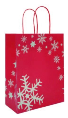 Immagine Xstar bag kraft 22x10x27+5