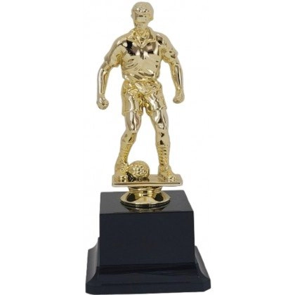 Immagine Trofeo Lione