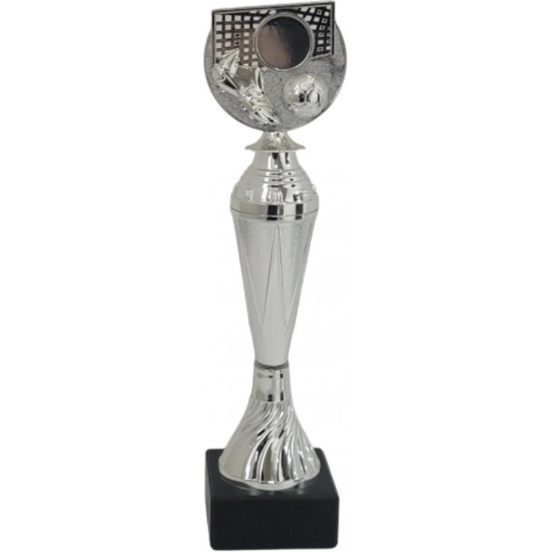 Immagine Trofeo Aster 26