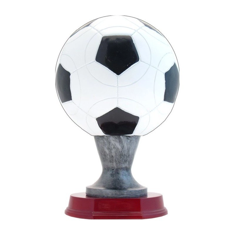 Immagine Trofeo Grays