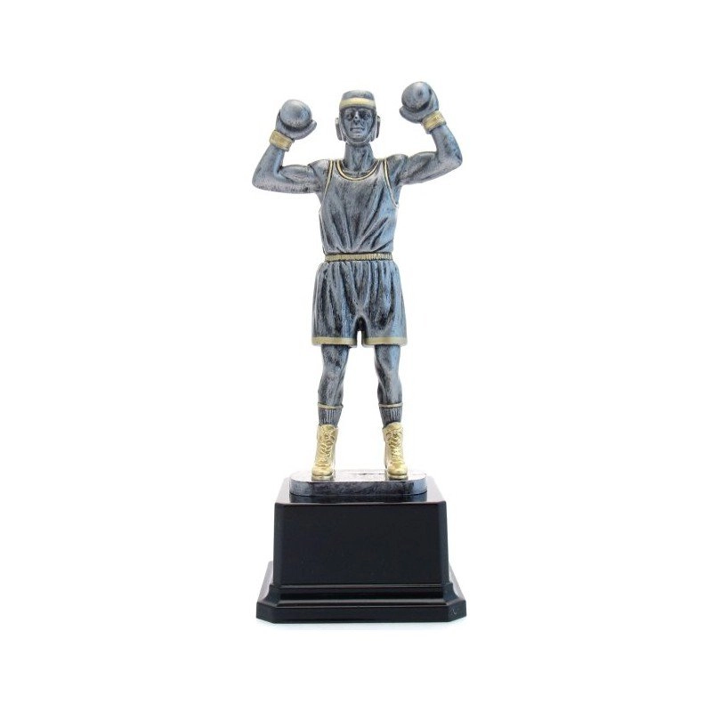 Immagine Trofeo Marciano boxe