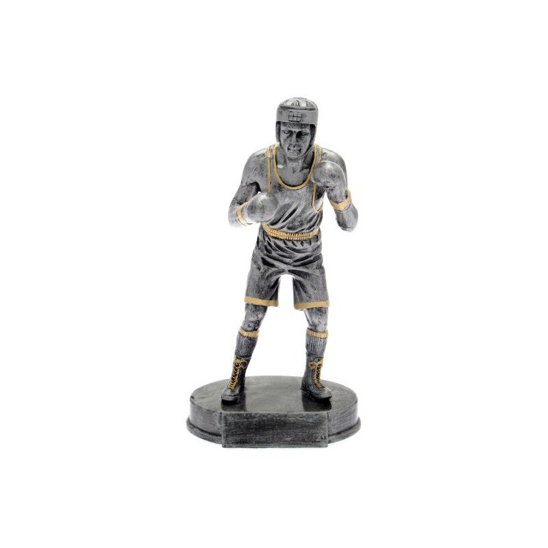 Immagine Trofeo Lamotta boxe