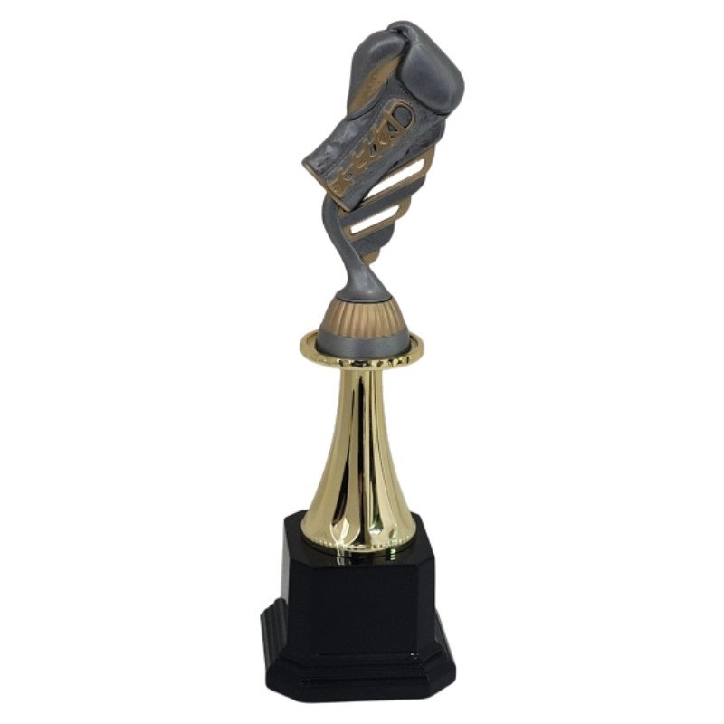 Immagine Trofeo Oxi pugilato