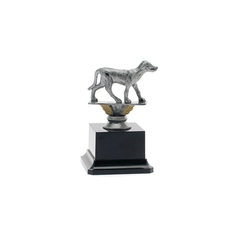Immagine Trofeo King 23