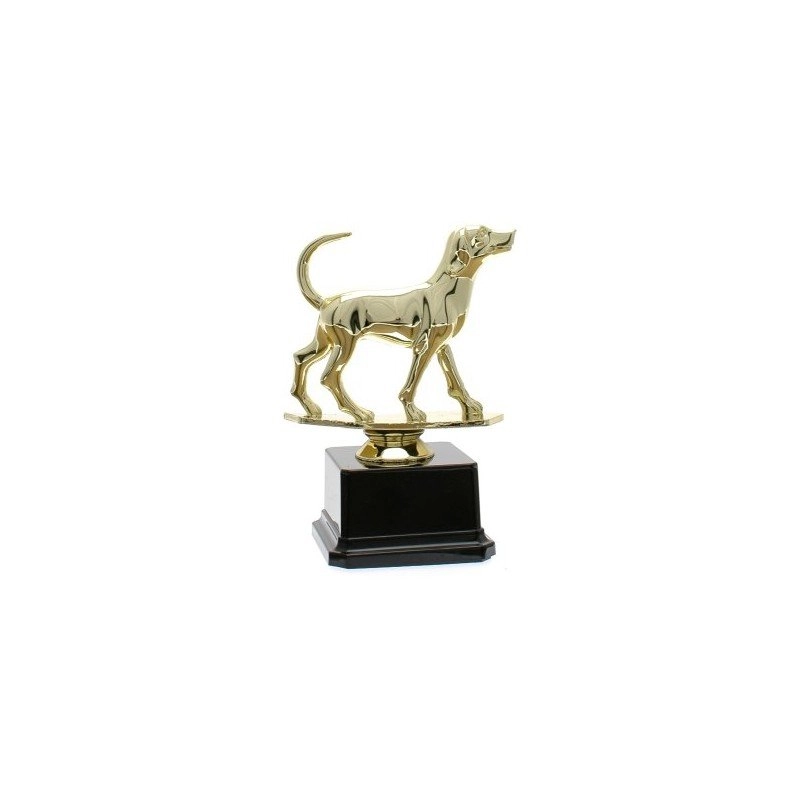 Immagine Trofeo Rome 23