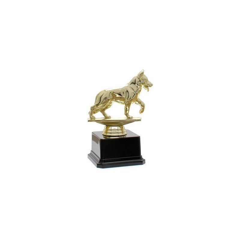 Immagine Trofeo Duch