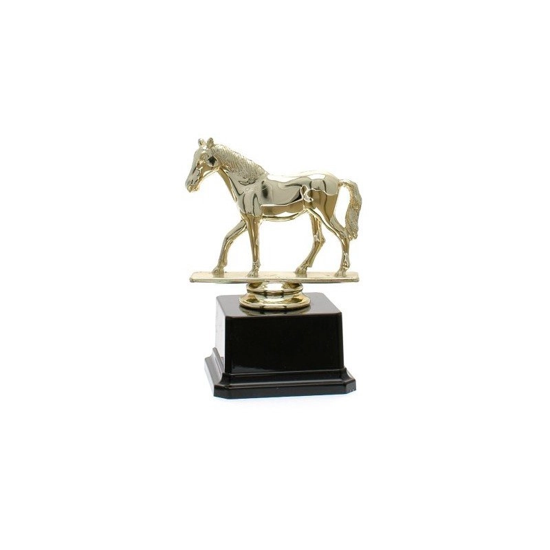 Immagine Trofeo Cavaliere