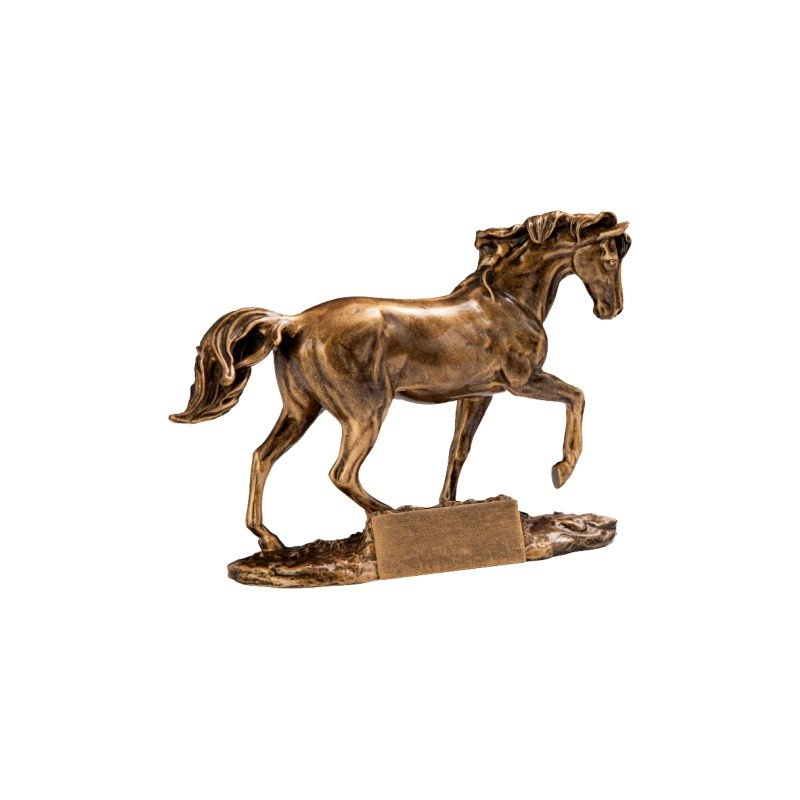 Immagine Trofeo Duss 26