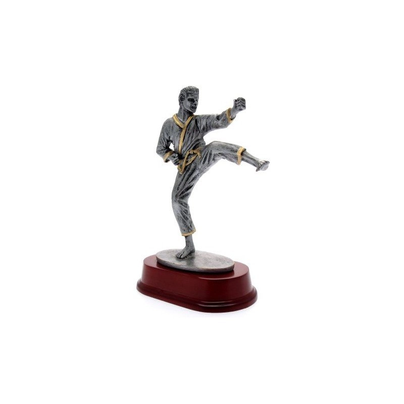 Immagine Trofeo Cung Le