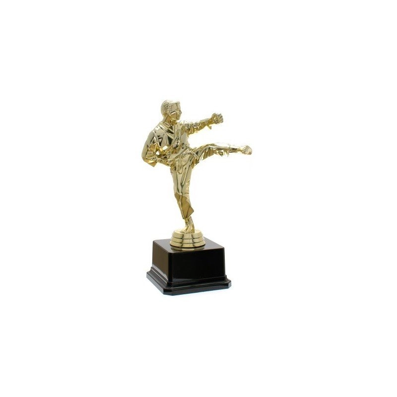 Immagine Trofeo Kanazawa