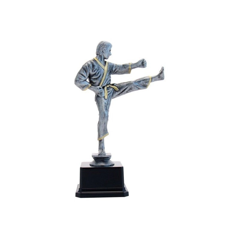 Immagine Trofeo Van Damme
