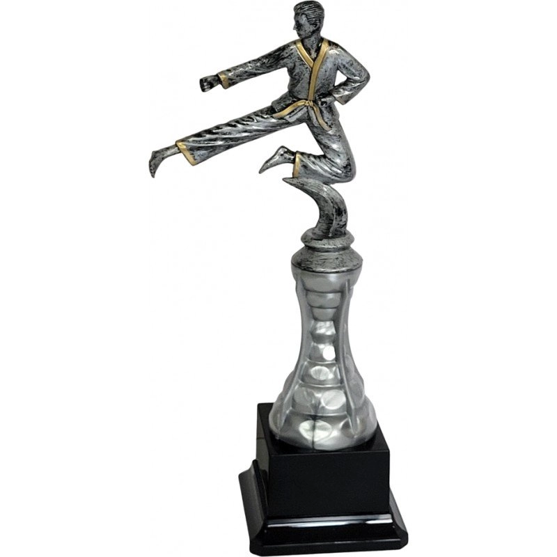 Immagine Trofeo Best K 24