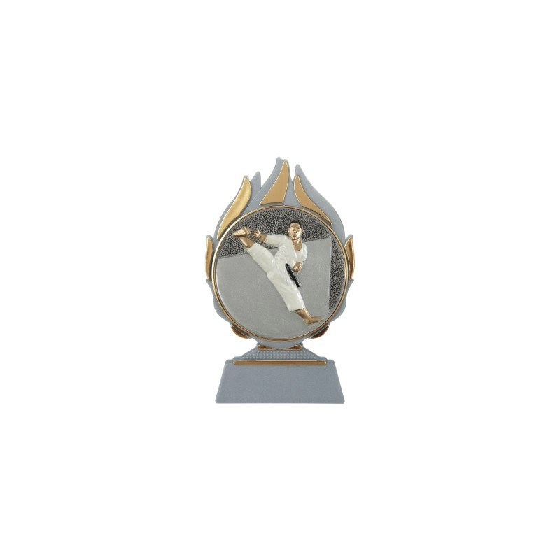 Immagine Trofeo Lee
