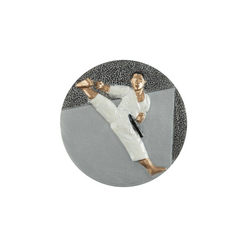 Immagine Disco karate 2D Sports