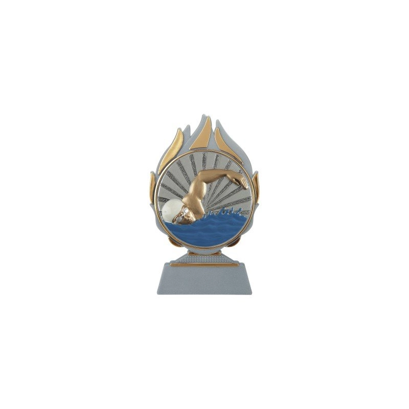 Immagine Trofeo Codia