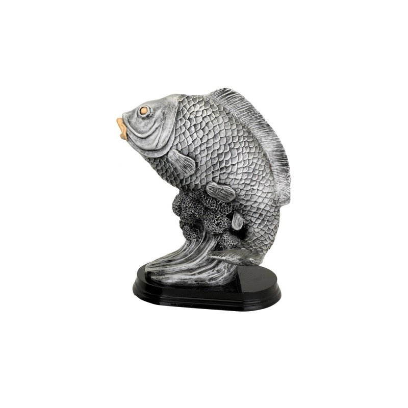 Immagine Trofeo Big fish 23