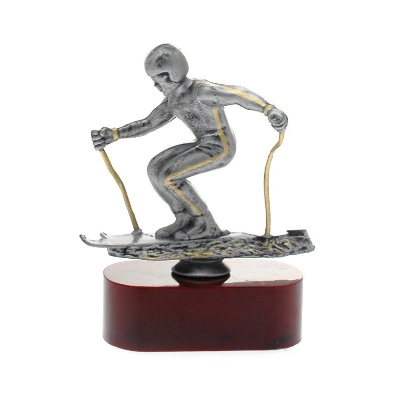 Immagine Trofeo Aamodt