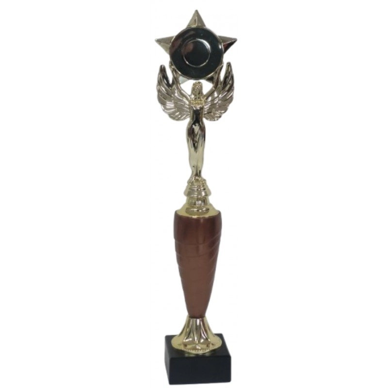 Immagine Trofeo Victory Star