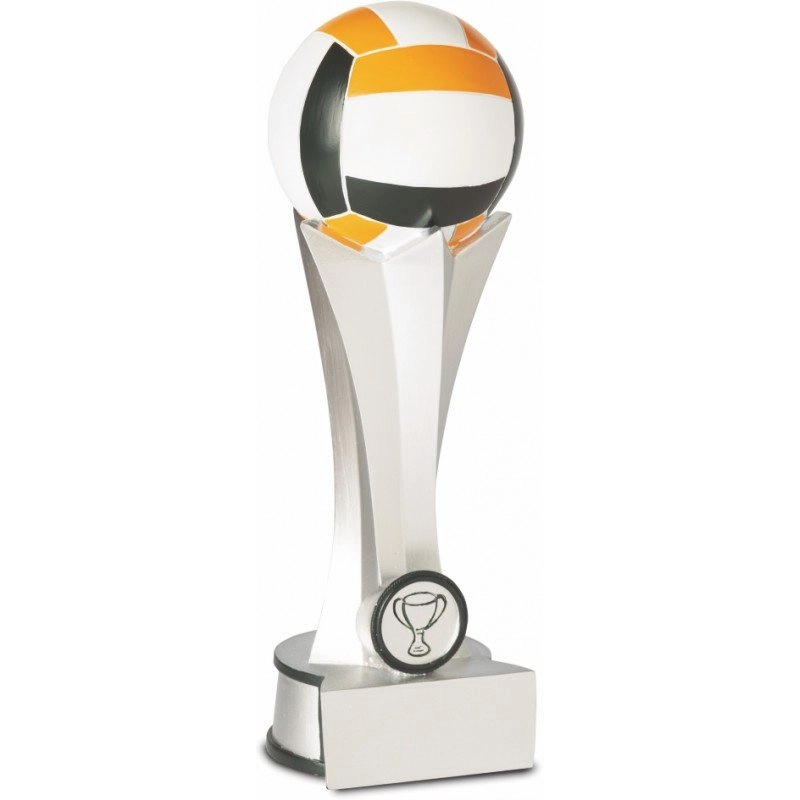 Immagine Trofeo Volley ball 23