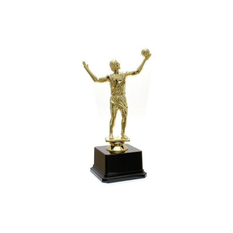 Immagine Trofeo Birarelli