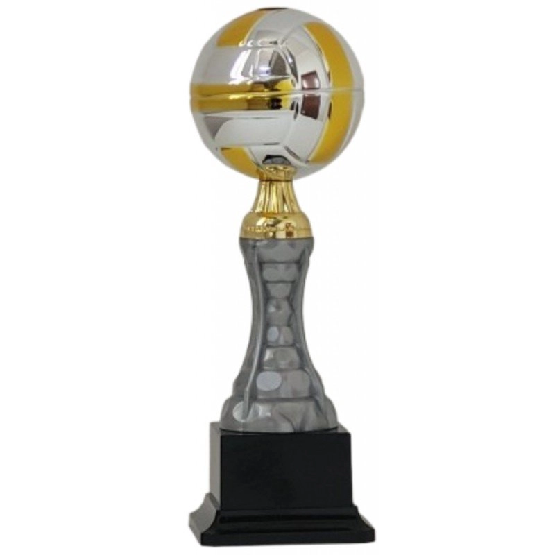 Immagine Trofeo Metal volley 8