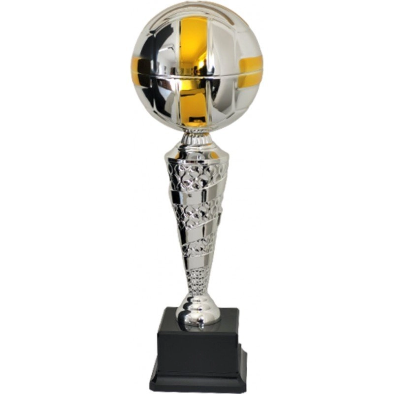 Immagine Trofeo Metal volley 12