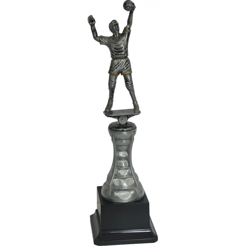 Immagine Trofeo Best V 24
