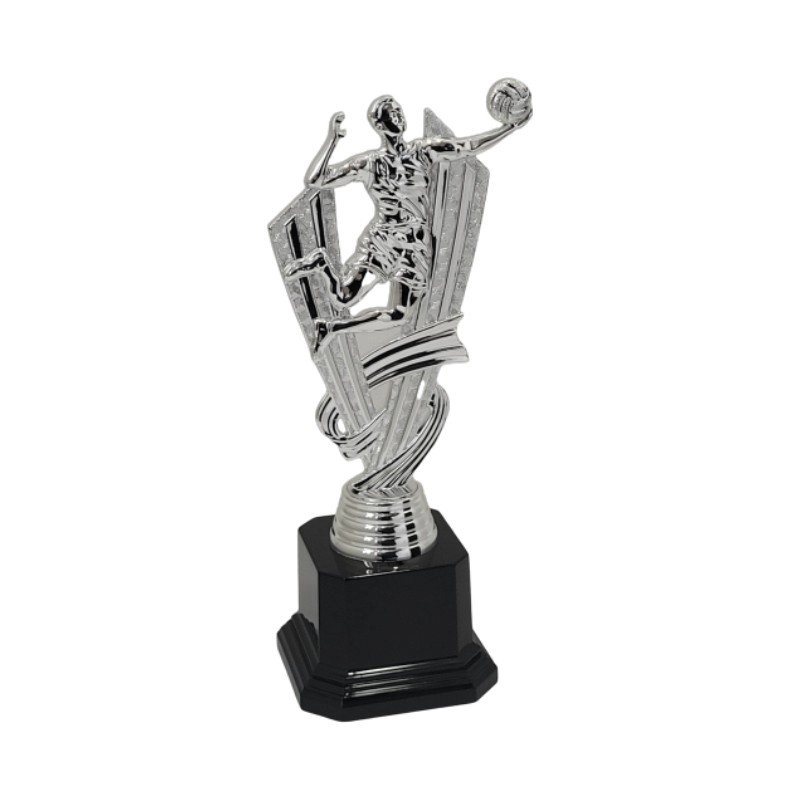 Immagine Trofeo Olympic volley