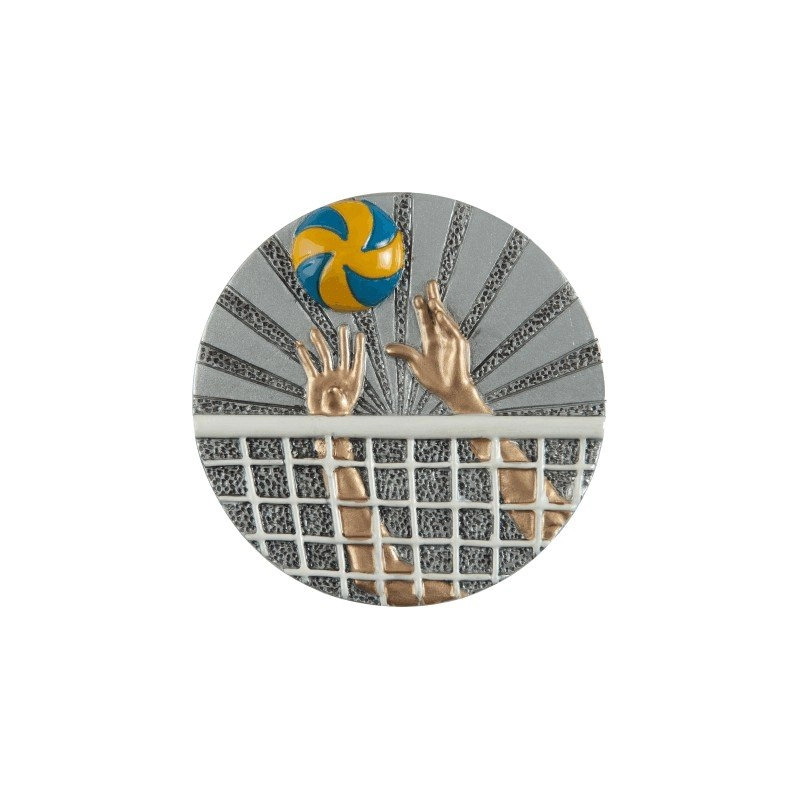 Immagine Disco pallavolo 2D Sports