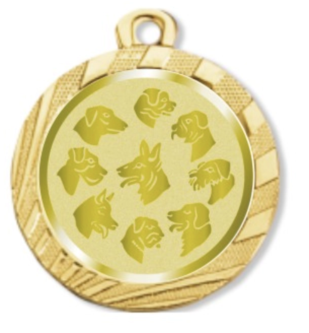 Immagine Medaglia Magnetite