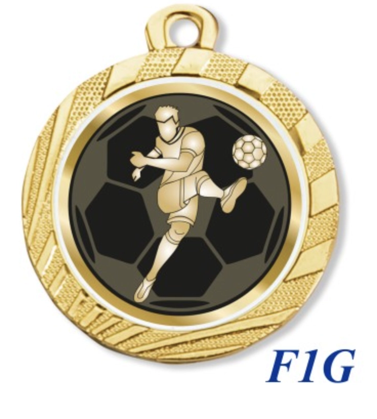 Immagine Medaglia Ghiaccio