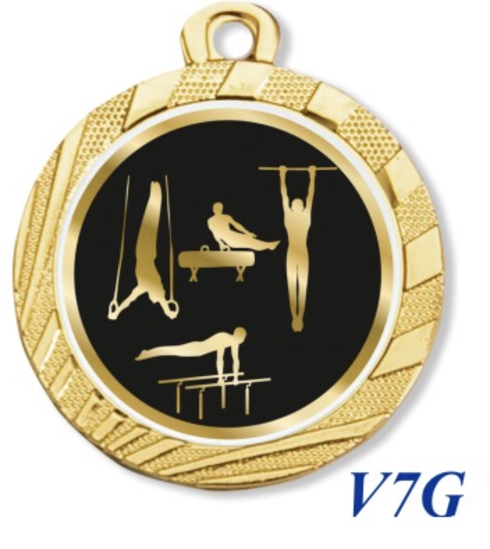 Immagine Medaglia Selce