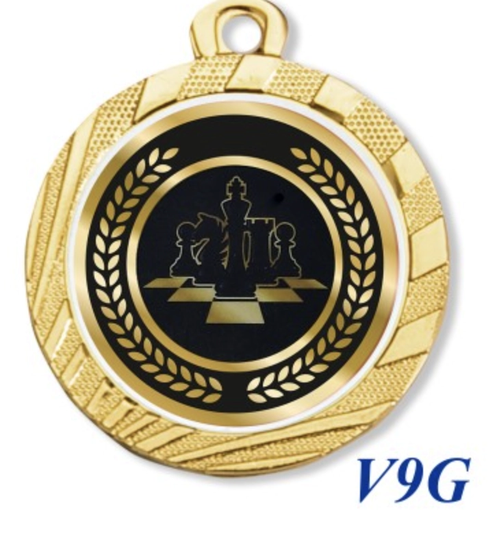 Immagine Medaglia Resina