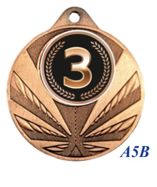 Immagine Medaglia Alfa