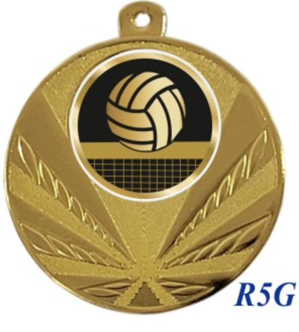 Immagine Medaglia Oscar