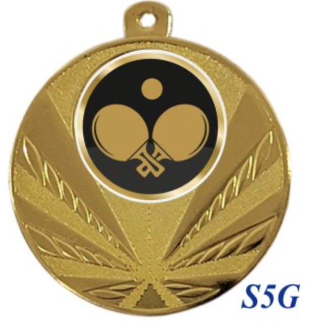 Immagine Medaglia Papa