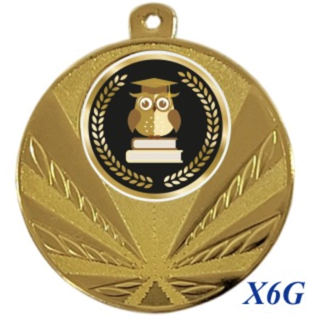 Immagine Medaglia Xray