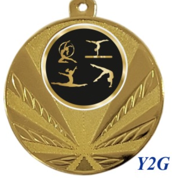 Immagine Medaglia Epsilon
