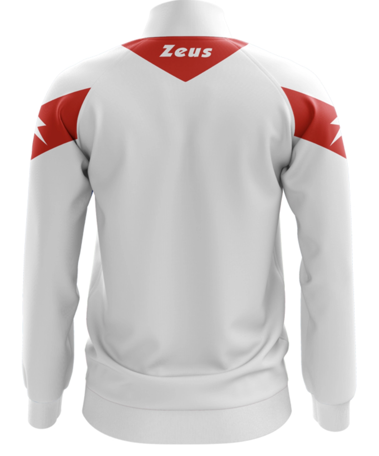 Immagine TUTA APOLLO