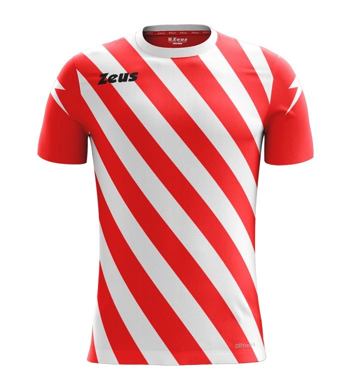 Immagine SHIRT ZIP